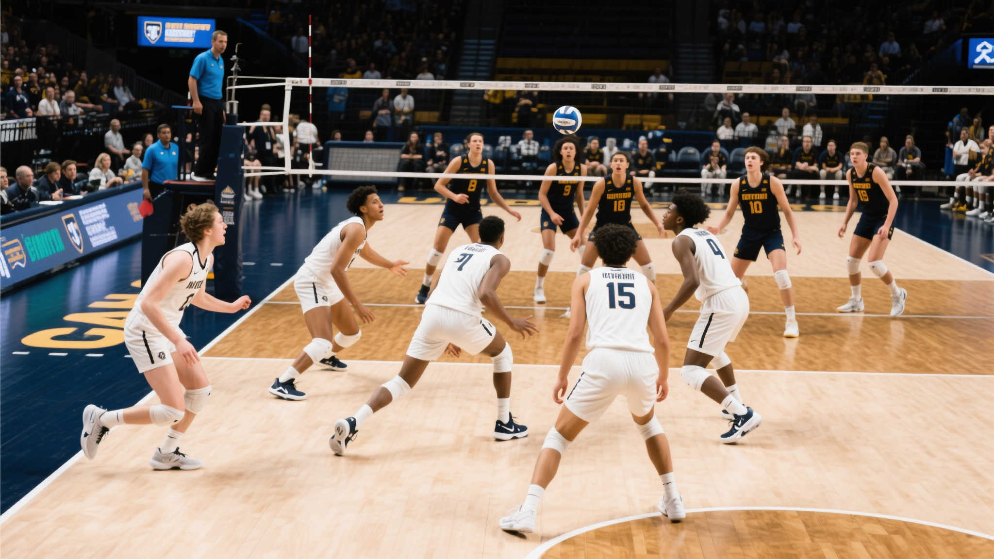 世界杯投注平台网页版入口